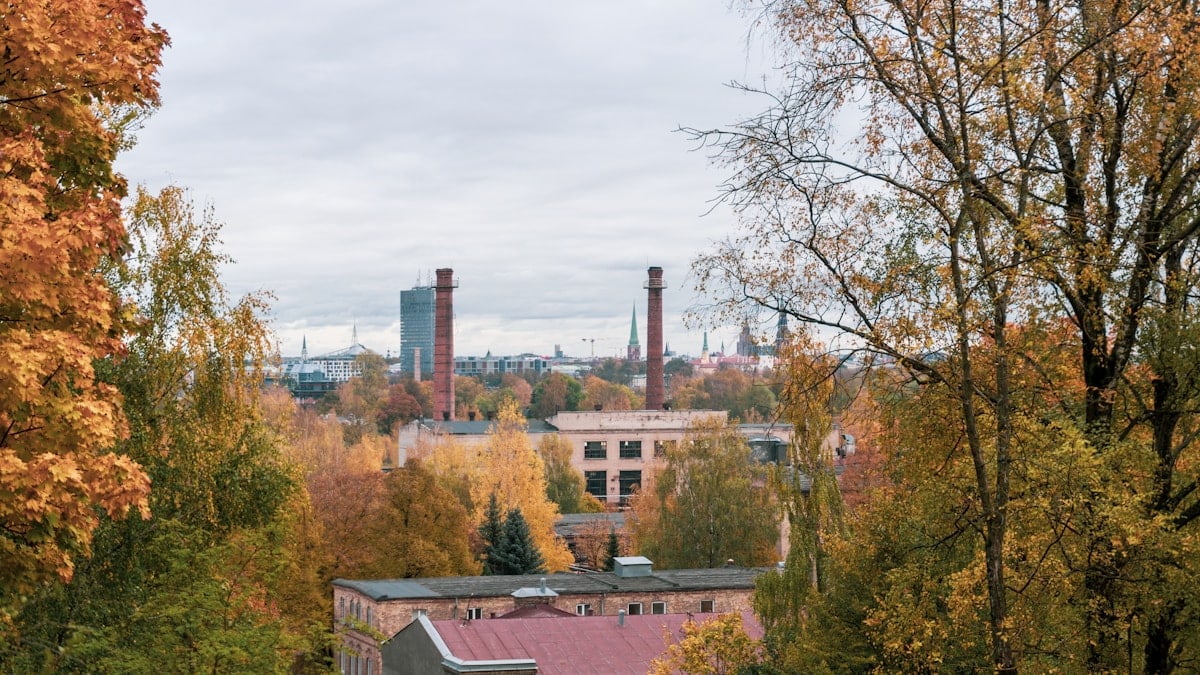 a view of a factory from a distance with trees in the foreground
