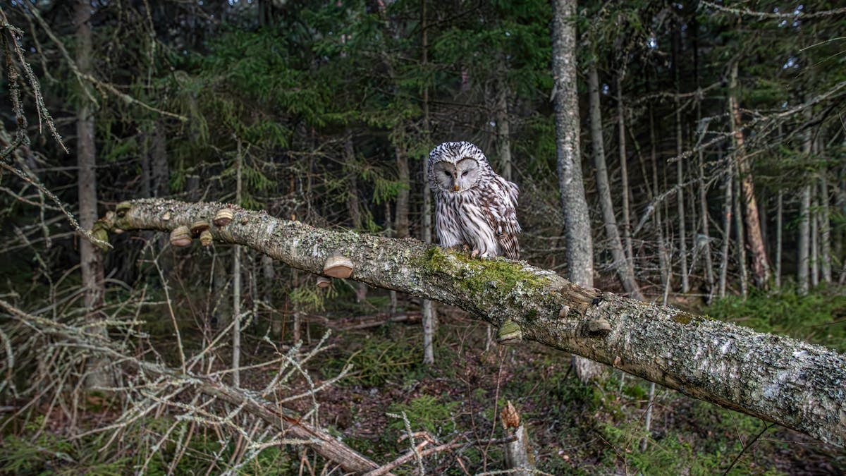 Kuidas luua tervislikke harjumusi perega
