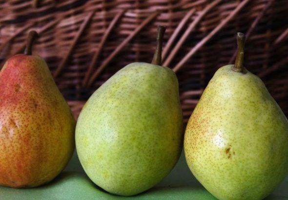 A detailed view of ripe pears placed in front of a woven wicker basket, capturing a rustic aesthetic.