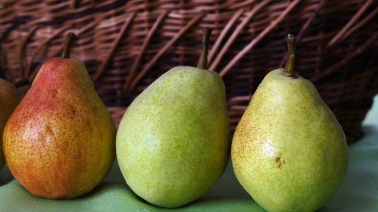A detailed view of ripe pears placed in front of a woven wicker basket, capturing a rustic aesthetic.